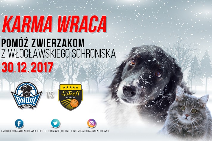 Pomagamy psom i kotom, czyli karma wraca! 