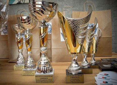 Loża Ekspertów: Typy na Anwil - Stal