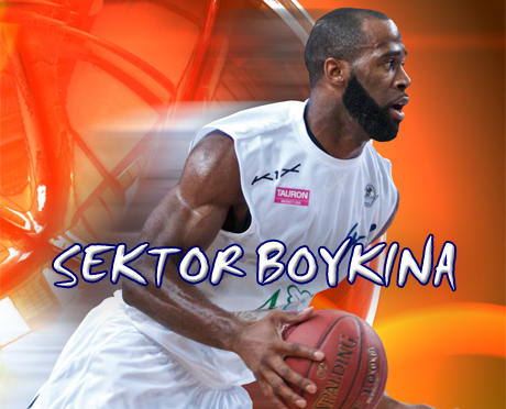 Sektor Boykina